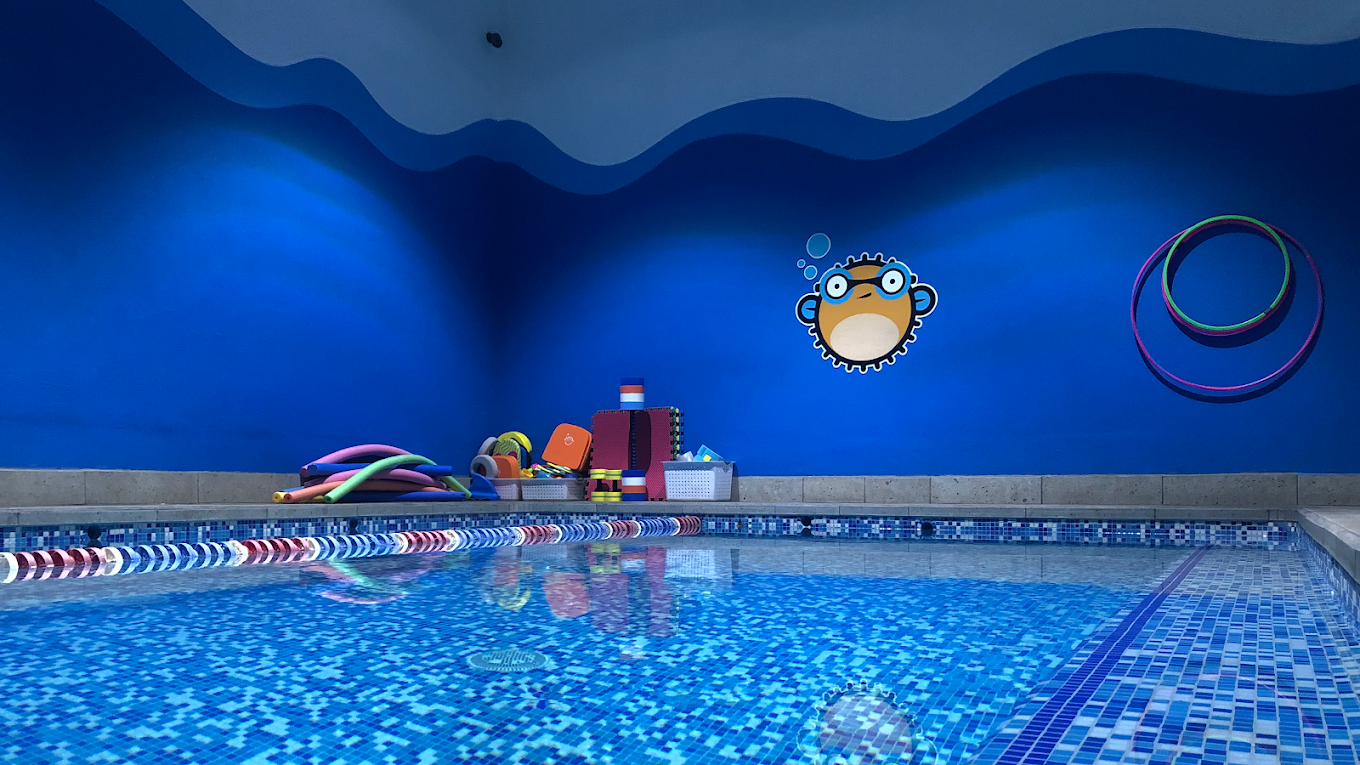 Alberca Pez Globo Natación Zapopan